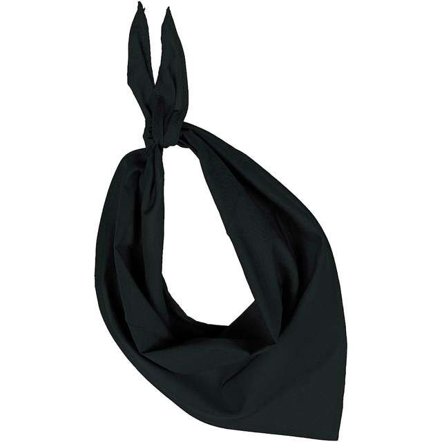 Fiesta - Bandana