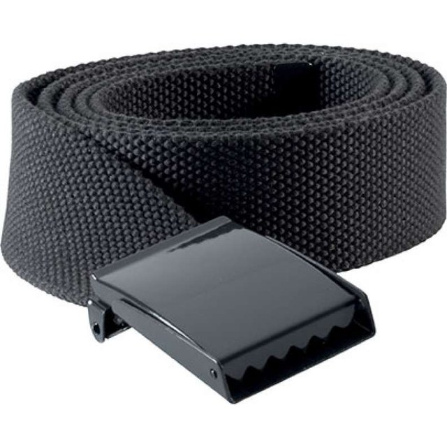 Polyester Belt