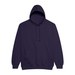 New French Navy