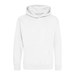 Arctic White