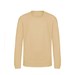 Desert Sand