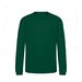 Rainforest Green