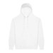 Arctic White