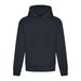 New French Navy