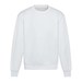 Arctic White