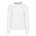 Arctic White