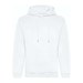 Arctic White
