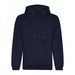 New French Navy
