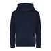 New French Navy