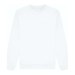 Arctic White