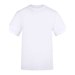 Arctic White
