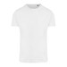 Arctic White
