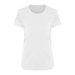 Arctic White