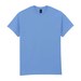 Carolina Blue