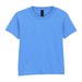 Carolina Blue