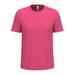 Ideal Fuchsia