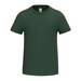 Ideal Forest Green