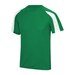 Kelly Green/Arctic White