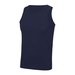 French Navy