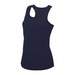 French Navy