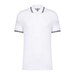 White/Navy