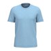 Cloudy Blue Heather