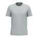 Snow Grey
