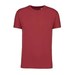 Terracotta Red