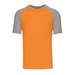 Orange/Light Grey