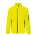 Fluorescent Yellow