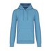 Cloudy Blue Heather