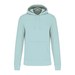 Ice Mint