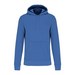 Light Royal Blue