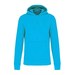 Sea Turquoise