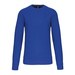 Light Royal Blue