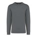 Storm Grey
