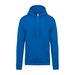 Light Royal Blue