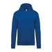 Light Royal Blue