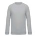 Snow Grey