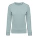 Snow Grey