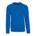 Light Royal Blue