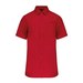 Classic Red