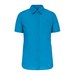 Bright Turquoise