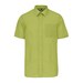 Burnt Lime