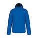 Light Royal Blue