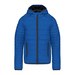Light Royal Blue