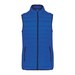 Light Royal Blue