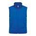 Light Royal Blue