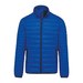 Light Royal Blue