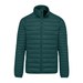 Mineral Green